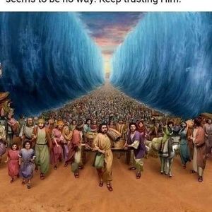 Meet your Posher, Dahliah nava